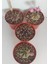 Dörtlü Gymnocalycium Mihanovichii Set 1