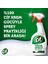 Krem Sprey 750 ml + Cif Krem Yüzey Temizleyici Limon 750 ml + Cif Zemin Uzman Beyaz Sabun 895 ml 3