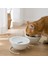 Seramik Çift Kase Servikal Omurgayı Korur Kedi Mama Kabı (Yurt Dışından) 4
