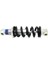 2 x 170MM 650LBS Arka Şok Emici Buggy (Yurt Dışından) 3