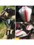 2 Set 50X4.5CM Dıy Yakıt Gaz Deposu Çıkartma Çıkartma Cafe Racer White Altın (Yurt Dışından) 2