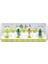 Seasoning Shakers Dört Mevsim Baharatlık 1