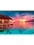 - 500 Parça Peace Puzzle Yetişkin Puzzle - Living The Present 35120 3