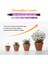 LED Phyto Grow Işık Seralar Uv Bitki Lambası (Yurt Dışından) 4