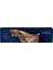 Koleston Perfect Me+ 9/17 Ekstra Açık Küllü Kumral Sarı Kalıcı Saç Boyası 60ML 3