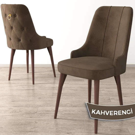 Canisa Concept Enoa Serisi Ceviz Gürgen Ayaklı Sandalye  Babyface Kumaş Sandalye Gold Halkalı 1 Adet