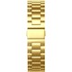  Renk Gold