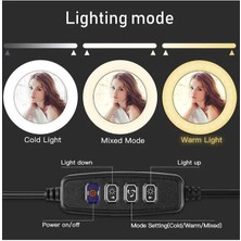 Pazariz  LED Tripod Işıklı Telefon Tutucu Makyaj Işığı Ring Light 10 Inç + 2.1 M Tripod