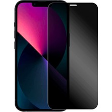 Schitec Apple iPhone 12 Pro Max Ultra Hd Premium 9h Mat Hayalet Seramik Ekran Koruyucu