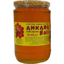 Atatürk Orman Çiftliği Ankara Çiçek Balı (850 G)