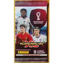 Başel World Cup 2022 Trading Card