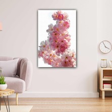 SML Tablo Makro Çekim Çiçek Yakın Çekim Doğa Pembe Beyaz Kanvas Tablo