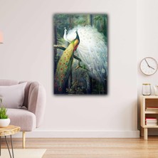 SML Tablo Yağlı Boya Efektli Tavus Kuşu Çifti Beyaz Kanvas Tablo