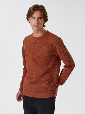 Regular Fit Erkek Sweatshirt