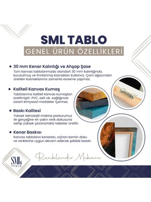 SML Tablo Sulu Boya Efektli Renkli Deniz Kablunbağası Kanvas Tablo