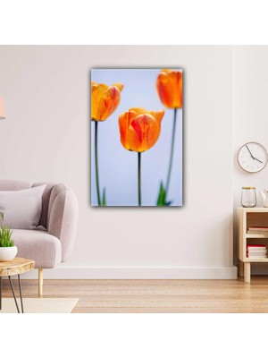 SML Tablo Gelincik Makro Çekim Dekoratif Modern Kanvas Tablo