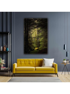 SML Tablo Karanlık Orman Doğa Manzara Ağaç Gün Işığı Kanvas Tablo