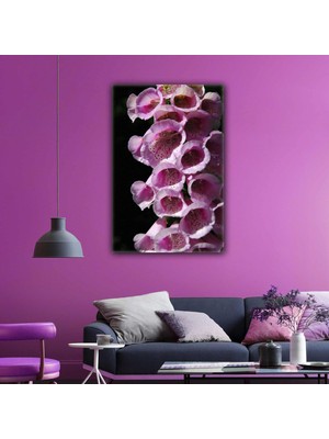 SML Tablo Makro Çekim Mor Çiçek Manzara Doğa Kanvas Tablo