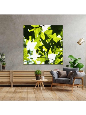 SML Tablo Makro Çekim Yeşil Yaprak Doğa Orman Manzara Kanvas Tablo
