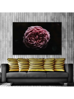 SML Tablo Sanatsal Gül Yaprakları Rose Kanvas Tablo