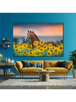 SML Tablo Ay Çiçeği Tarlasında Koşan At Manzara Doğa Hayvan Kanvas Tablo