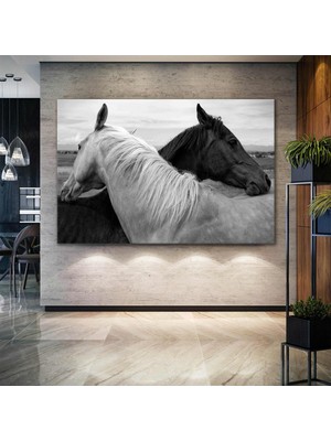 SML Tablo Siyah Beyaz Atlar Aşk Love Hayvan Asalet Dekor Kanvas Tablo
