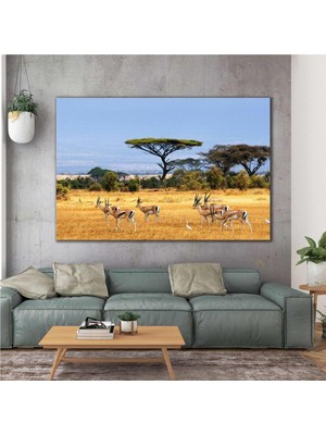SML Tablo Afrika Antilop Sürüsü Doğa Hayvan Manzara Kanvas Tablo