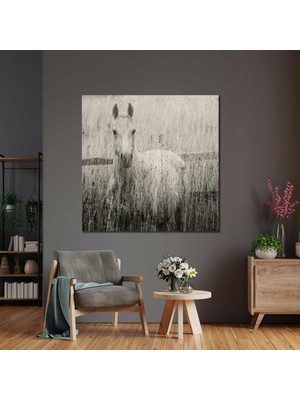 SML Tablo Otlar İçindeki Beyaz At Asalet Doğ Manzara Hayvan Kanvas Tablo