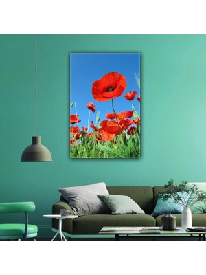 SML Tablo Gelincik Çiçeği Doğa Manzara Yakın Çekim Kanvas Tablo