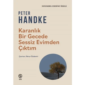 Karanlık Bir Gecede Sessiz Evimden Çıktım - Peter Handke