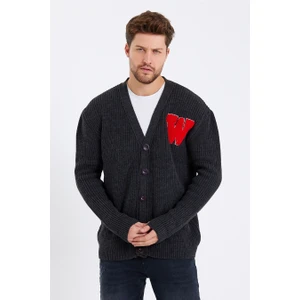 Cool Tarz Erkek Füme Düğmeli Nakışlı Rahat Kalıp Triko HIRKA-HRK8169R02S