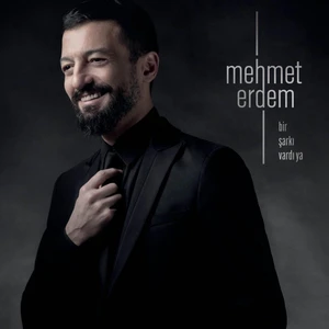 Mehmet Erdem - Bir Şarkı Vardı Ya (Plak)