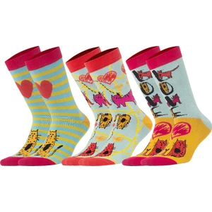 Soket Çorap Seti Cats Kadın Renkli 36 / 40