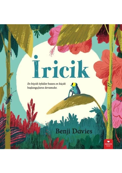 Iricik - Benji Davies