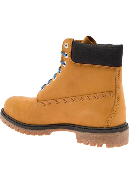 6 Premium Boot