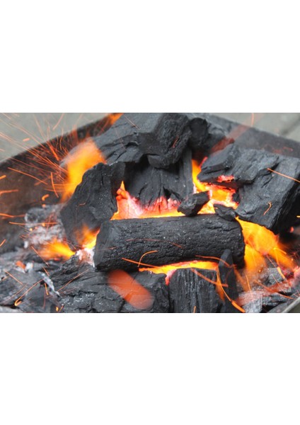 Meşe Mangal Kömürü 5 kg
