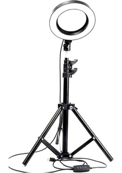 LED Tripod Işıklı Telefon Tutucu Makyaj Işığı Ring Light 10 Inç + 2.1 M Tripod