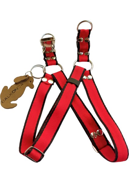 Köpek göğüs tasması minik ırk genişlik:2cm göğüs ölçüsü:25-50cm ayarlamalı dog harness GT4-14 fırsatları
