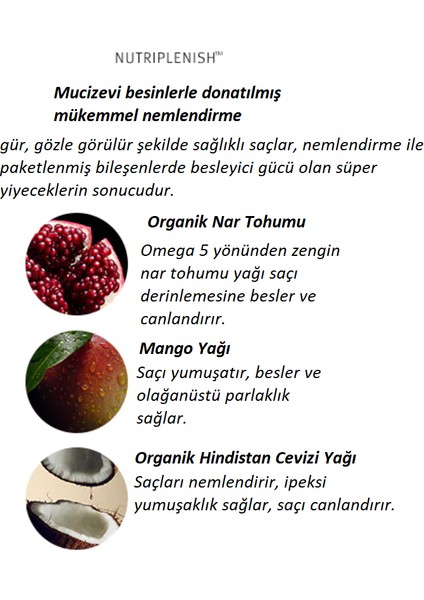 Nutriplenish For Dry Hair Moisturising Lightweight Vegan Conditioner 250ml modelleri