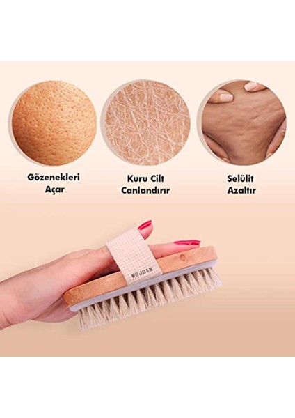 | Doğal At Kılı Fırça modelleri