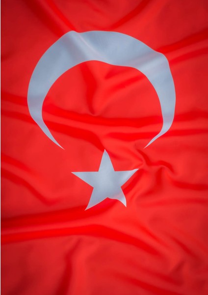 Dikey Karne Kabı ( 24 Ad)