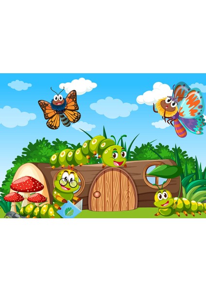 Yatay Karne Kabı ( 24 Ad)