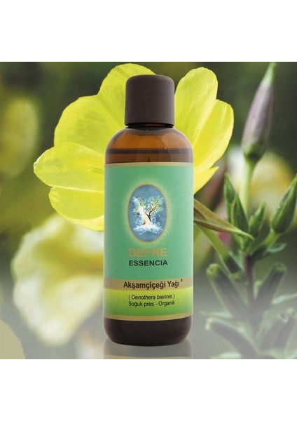 Defne Nuka Essencia Akşam Çiçeği Yağı 30 Ml