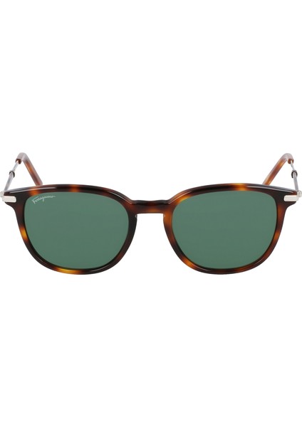 SF101S 214 52 Salvatore Ferragamo Güneş Gözlüğü