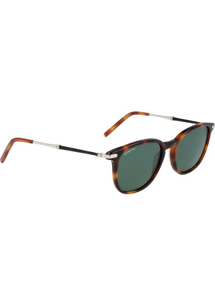SF101S 214 52 Salvatore Ferragamo Güneş Gözlüğü fiyatları