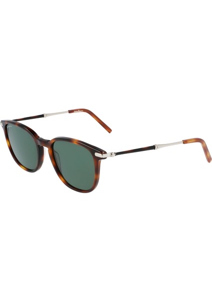 SF101S 214 52 Salvatore Ferragamo Güneş Gözlüğü modelleri