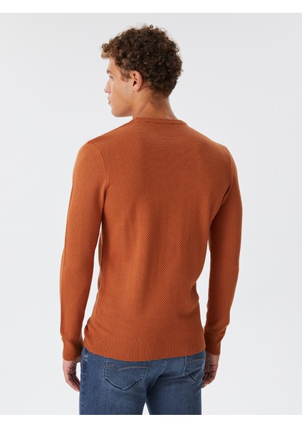 Regular Fit Erkek Kazak