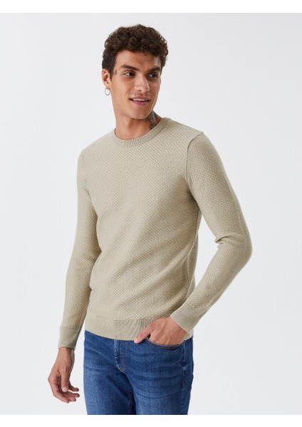Regular Fit Erkek Kazak