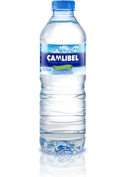 500 ml x 24 Adet