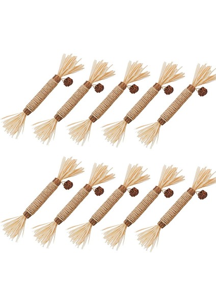 10 Parça Kedi Çiğneme Oyuncak Silvervine Çubukları (Yurt Dışından)